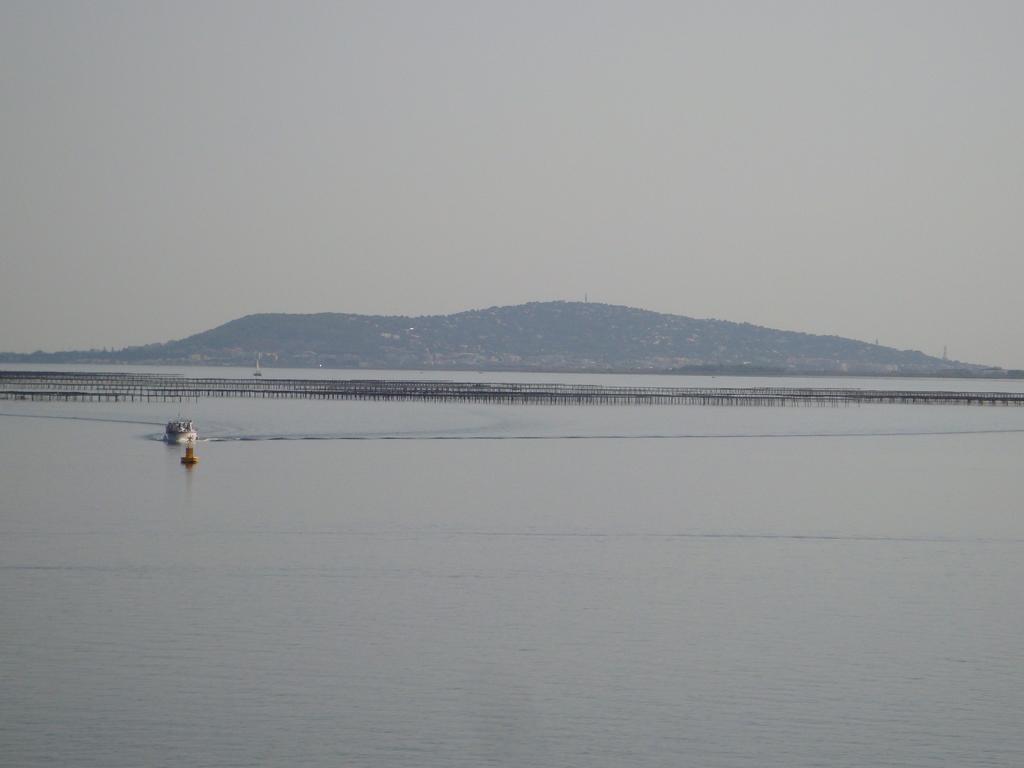 Port Rive Gauche Iona Lejlighed Marseillan  Eksteriør billede
